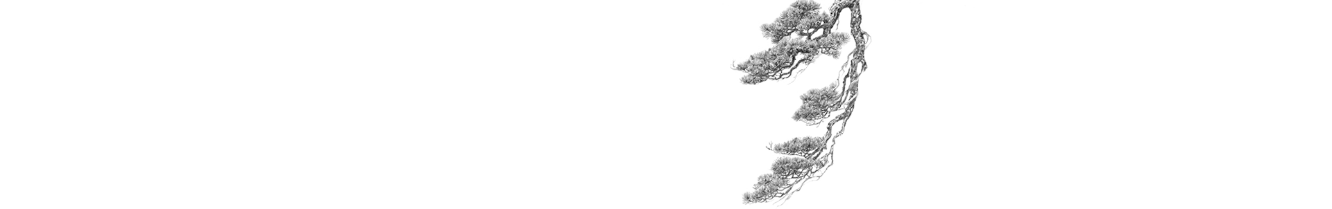 Bonsai Image